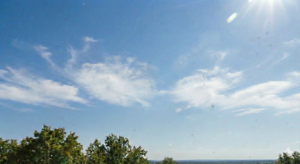 ceú azul com moscas volantes no campo visual